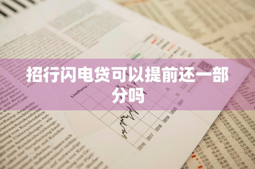 招行闪电贷可以提前还一部分吗