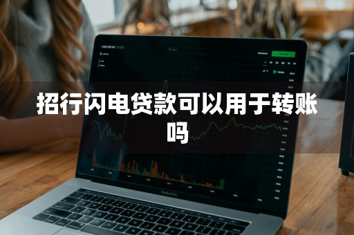 招行闪电贷款可以用于转账吗