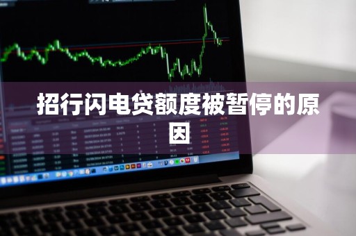 招行闪电贷额度被暂停的原因