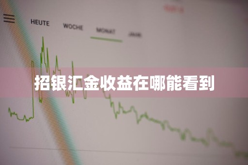 招银汇金收益在哪能看到