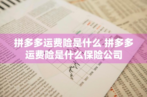 拼多多运费险是什么 拼多多运费险是什么保险公司