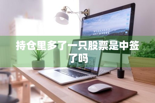持仓里多了一只股票是中签了吗