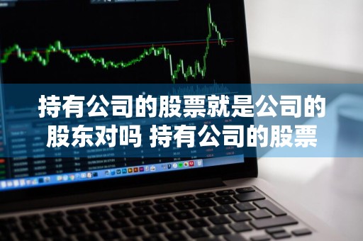 持有公司的股票就是公司的股东对吗 持有公司的股票就是公司的股东对吗