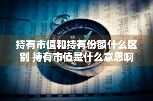 持有市值和持有份额什么区别 持有市值是什么意思啊