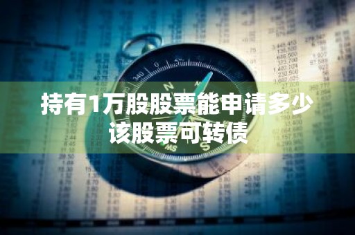 持有1万股股票能申请多少该股票可转债