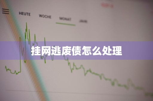 挂网逃废债怎么处理