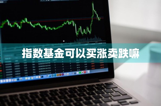 指数基金可以买涨卖跌嘛
