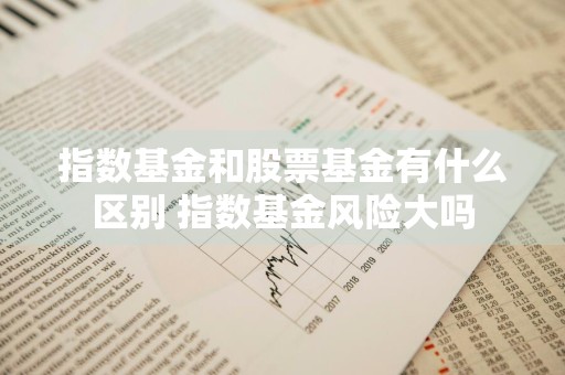 指数基金和股票基金有什么区别 指数基金风险大吗