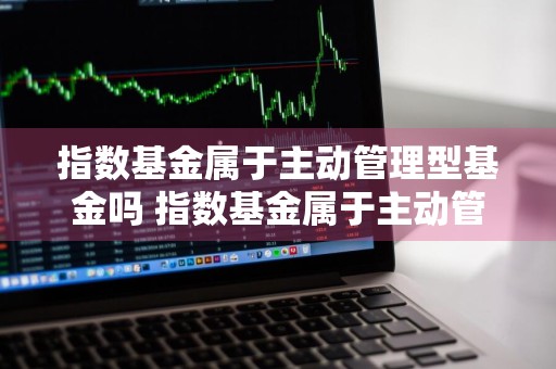 指数基金属于主动管理型基金吗 指数基金属于主动管理型基金吗?