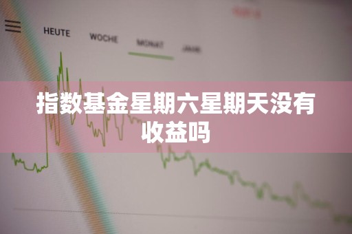 指数基金星期六星期天没有收益吗