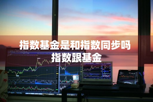指数基金是和指数同步吗 指数跟基金