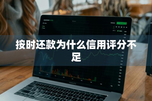 按时还款为什么信用评分不足