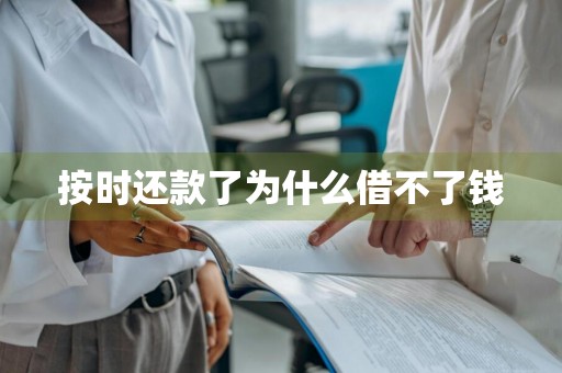 按时还款了为什么借不了钱