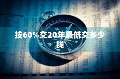 按60%交20年最低交多少钱
