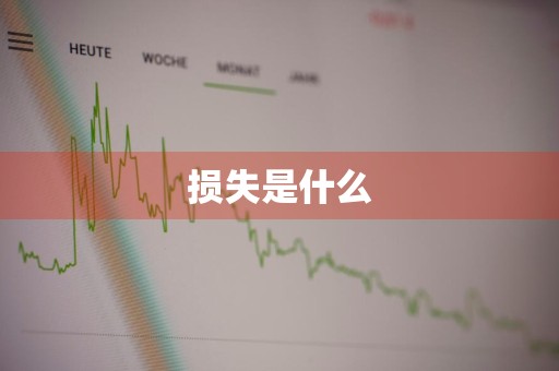 损失是什么