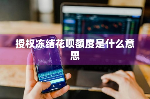 授权冻结花呗额度是什么意思
