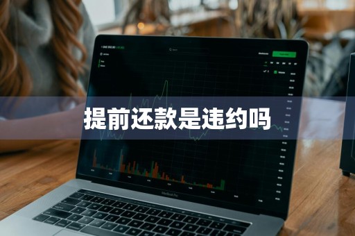 提前还款是违约吗