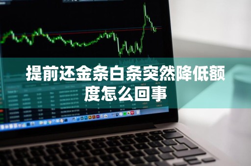 提前还金条白条突然降低额度怎么回事