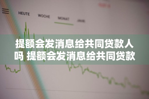 提额会发消息给共同贷款人吗 提额会发消息给共同贷款人吗