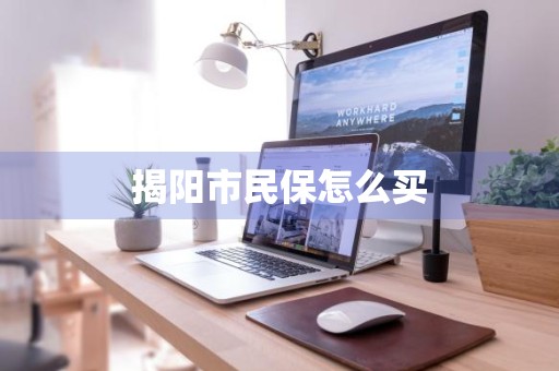 揭阳市民保怎么买
