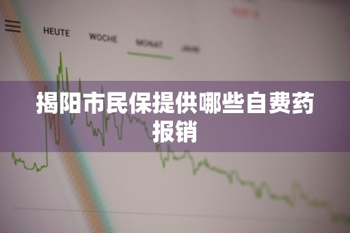 揭阳市民保提供哪些自费药报销