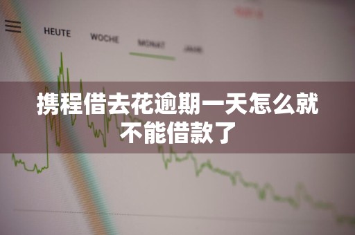 携程借去花逾期一天怎么就不能借款了