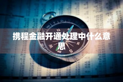 携程金融开通处理中什么意思