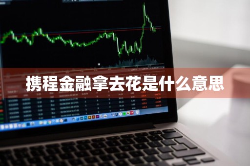 携程金融拿去花是什么意思