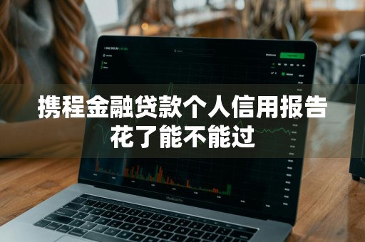 携程金融贷款个人信用报告花了能不能过