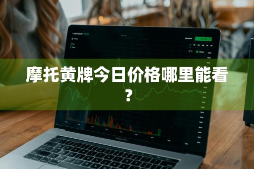 摩托黄牌今日价格哪里能看？