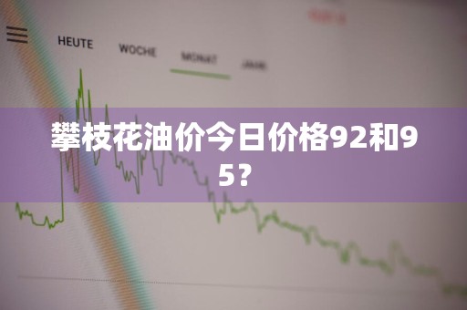 攀枝花油价今日价格92和95？