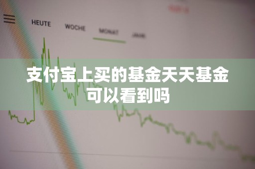 支付宝上买的基金天天基金可以看到吗
