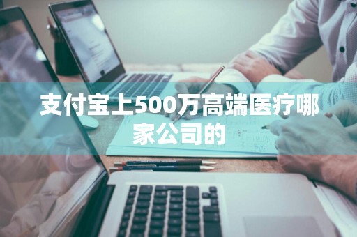 支付宝上500万高端医疗哪家公司的