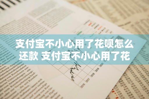 支付宝不小心用了花呗怎么还款 支付宝不小心用了花呗怎么还款呢