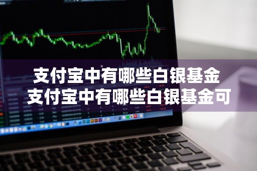 支付宝中有哪些白银基金 支付宝中有哪些白银基金可以买