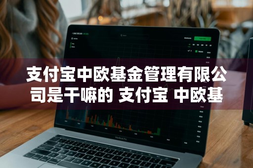 支付宝中欧基金管理有限公司是干嘛的 支付宝 中欧基金管理有限公司