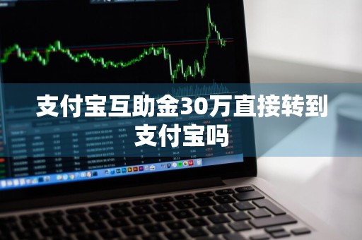 支付宝互助金30万直接转到支付宝吗