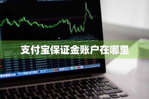 支付宝保证金账户在哪里