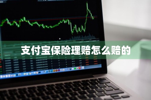 支付宝保险理赔怎么赔的