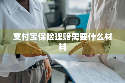 支付宝保险理赔需要什么材料