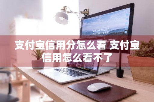 支付宝信用分怎么看 支付宝信用怎么看不了