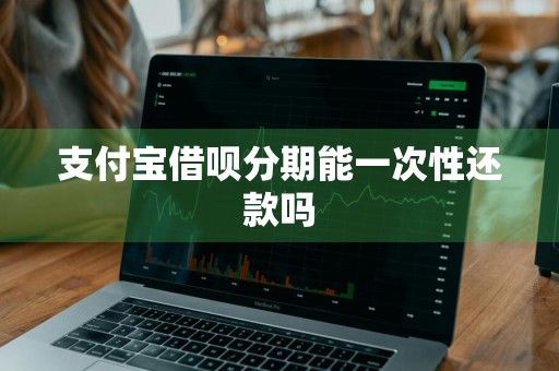支付宝借呗分期能一次性还款吗