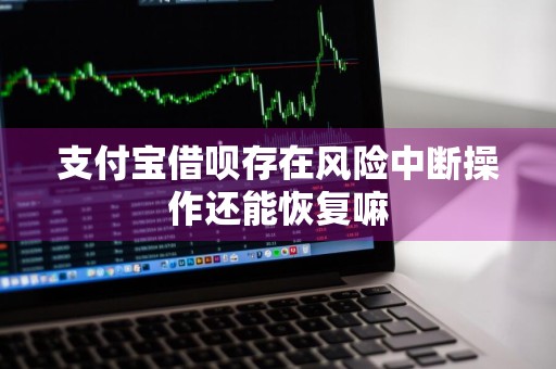 支付宝借呗存在风险中断操作还能恢复嘛