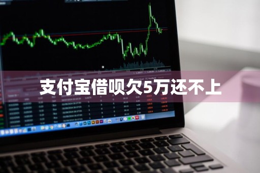 支付宝借呗欠5万还不上