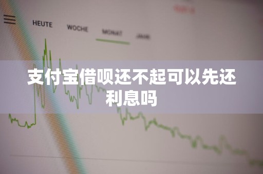 支付宝借呗还不起可以先还利息吗