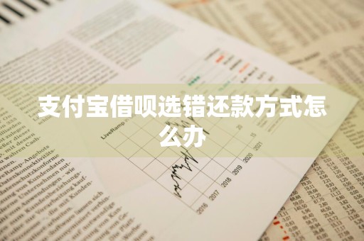 支付宝借呗选错还款方式怎么办