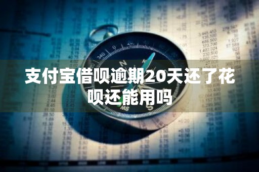 支付宝借呗逾期20天还了花呗还能用吗