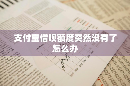 支付宝借呗额度突然没有了怎么办