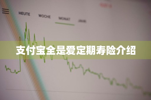 支付宝全是爱定期寿险介绍