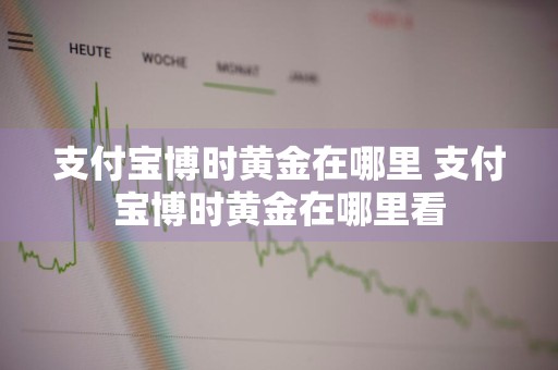 支付宝博时黄金在哪里 支付宝博时黄金在哪里看